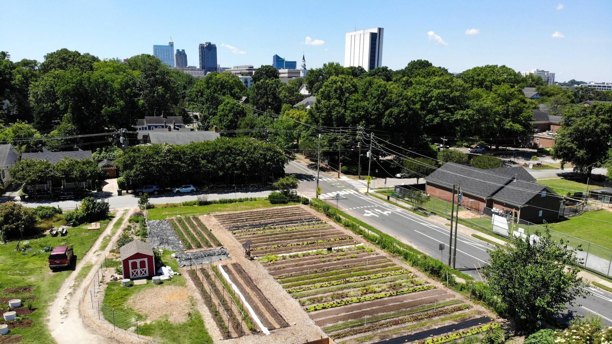 Raleigh City Farm urban garden with downtown skyline